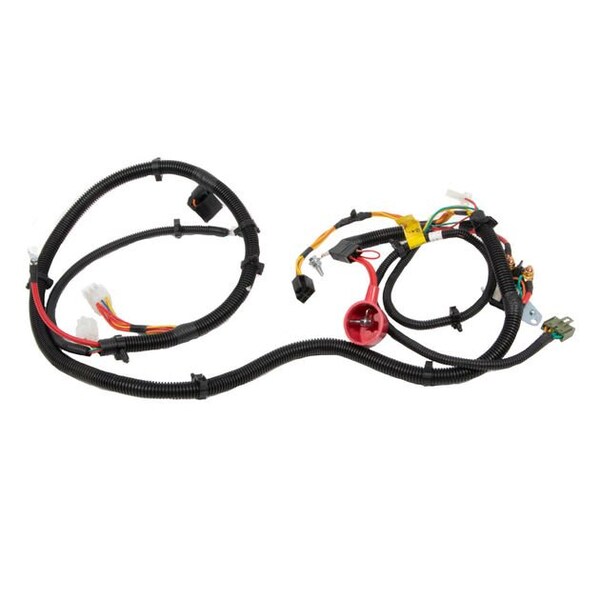 Harness-Main M-Pt